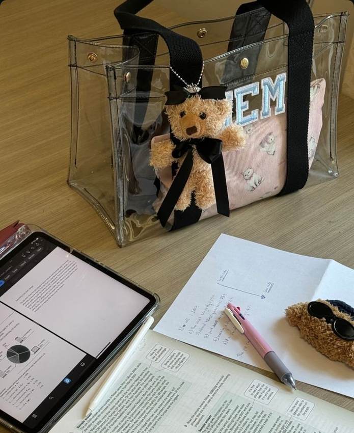 Baganic Clear Tote bag, customer photo